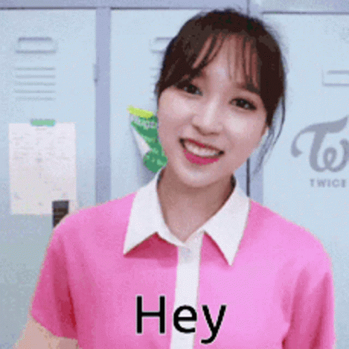 Book Em Danno Twice Greet GIF