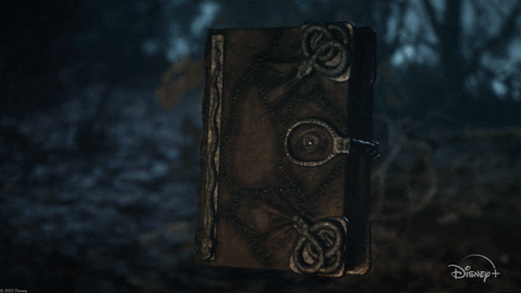 Book Opening To Princess Story Page GIF