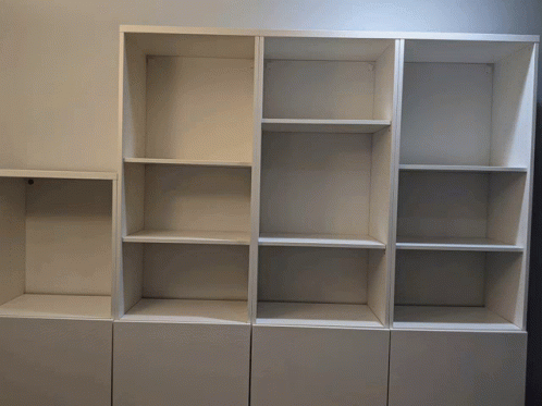 Book Shelve Hoarders GIF