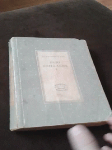 Book Titled A Brief History on Couch