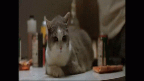 Boondock Saints Macmanus Twins And Rocco Attacked GIF