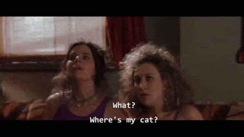 Boondock Saints Rocco Barging Girl's Room GIF