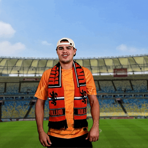 Netherland World Cup Booo GIF