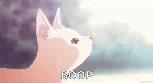 Precious Kitty Receiving Gentle Boop GIF