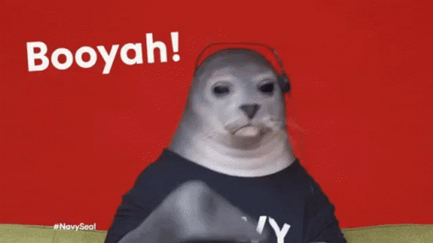 Booyah Dolphin Memes GIF