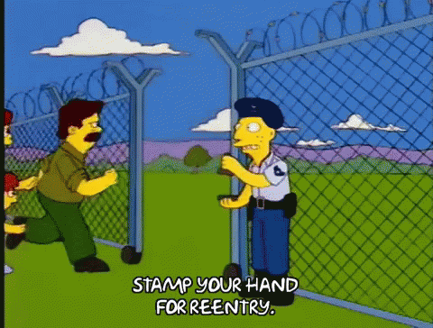 Homer Simpson Border Police Reentry GIF