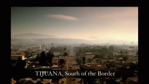 Gangster Duo Crossing Border Movie Scene GIF