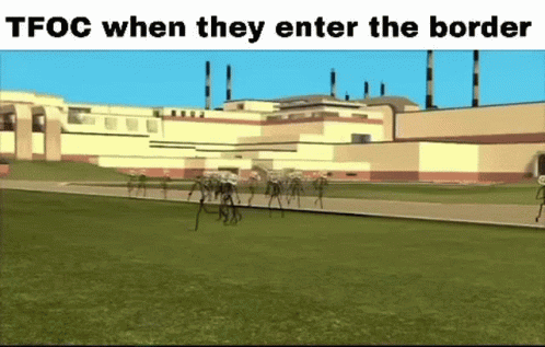 Border Chaos Running Wild Meme GIF