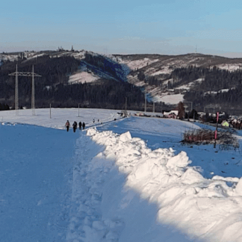 Energetic Border Collie Jumping On Snow GIF