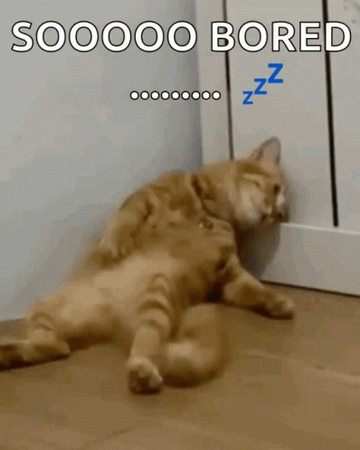 Bored Cat Lying on Floor