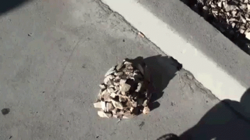 Bored Kicks Rock Pile GIF