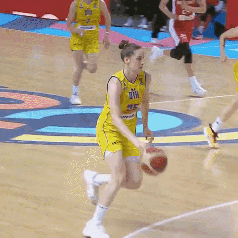 Bosnia And Herzegovina Basketball GIF