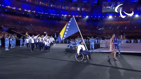 Bosnia And Herzegovina Circus GIF