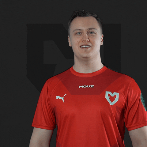 Bosnia And Herzegovina Dennis Benthin Nielsen GIF