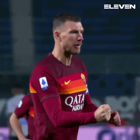 Bosnia And Herzegovina Edin Dzeko GIF