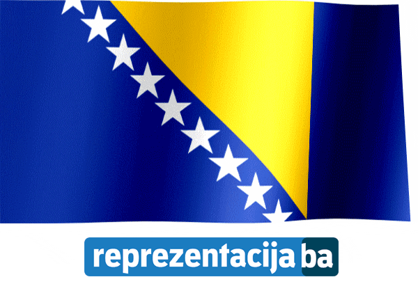 Bosnia And Herzegovina Flag GIF