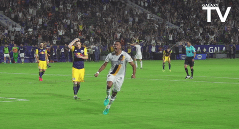 Bosnia And Herzegovina Goal GIF