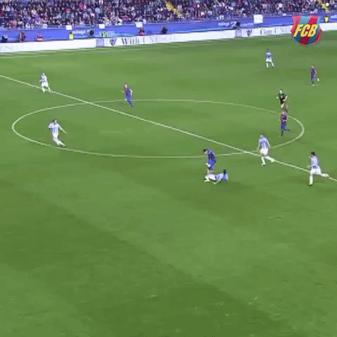 Bosnia And Herzegovina Goal GIF