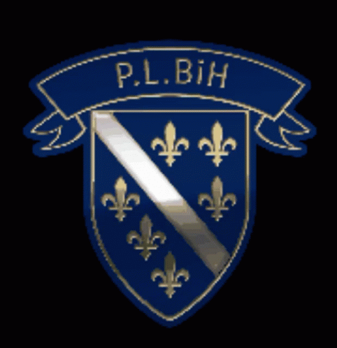 Bosnia And Herzegovina Logo GIF
