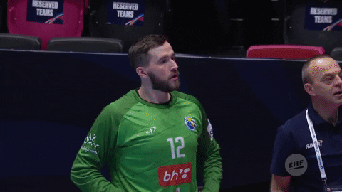 Bosnia And Herzegovina Player 12 GIF