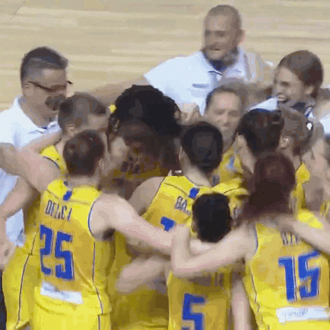 Bosnia And Herzegovina Players GIF