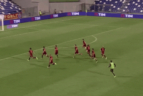 Bosnia And Herzegovina Running Players GIF