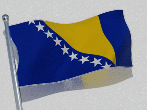 Bosnia And Herzegovina Shiny Flag GIF