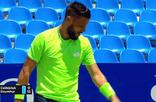 Bosnia And Herzegovina Tennis Player GIF