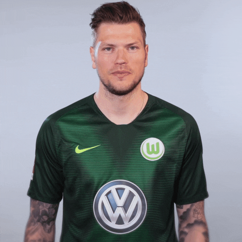 Bosnia And Herzegovina Wolfsburg Player GIF