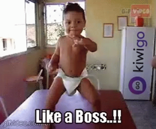 Like A Boss GIF