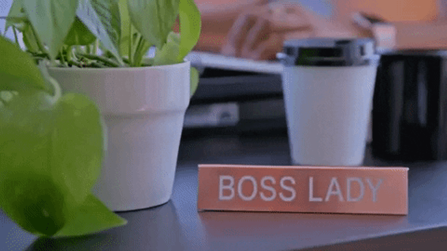 Boss Lady Neat Desk GIF