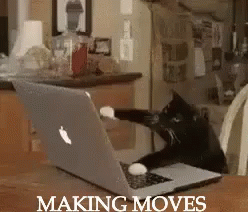 Boss Makes A Dollar I Make A Dime Cat Making Moves GIF