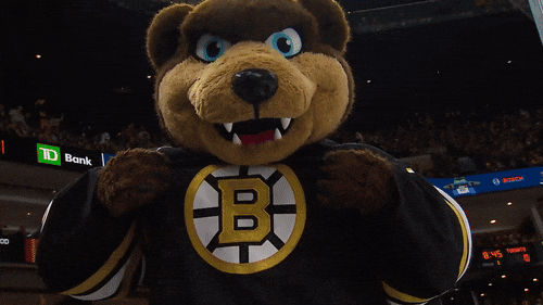 Boston Bruins Mascot Cheering GIF