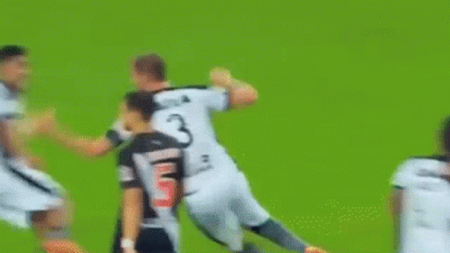 Botafogo Vasco GIF