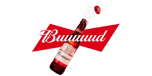 Bottle of Budweiser With Logo
