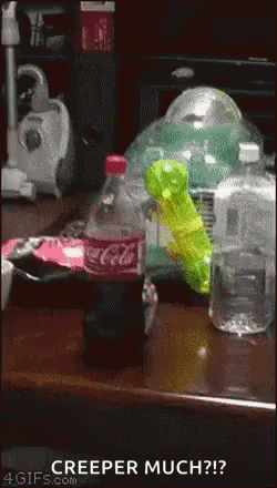 Bottle of Coca Cola Next to Water