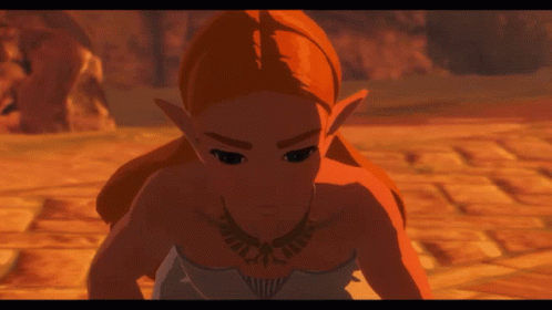 Botw Angry Zelda GIF