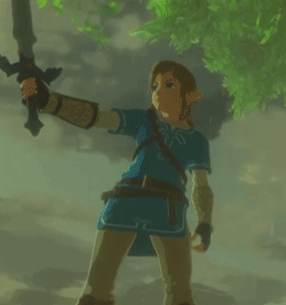 Botw Link Checks Its Sword GIF
