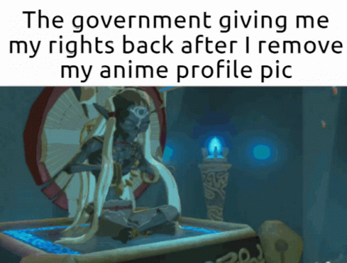 Botw Link Receiving A Power GIF