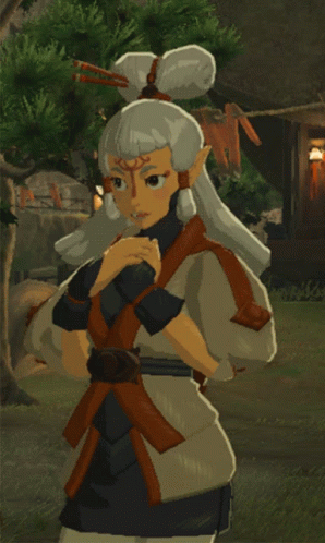 Botw Paya Of The Legend Of Zelda GIF