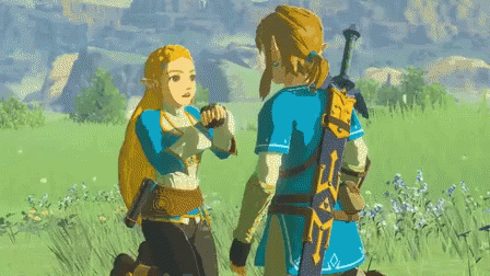 Botw Princess Zelda Surprise To Link GIF