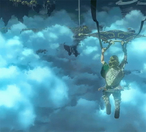 Botw Running To Different Places GIF