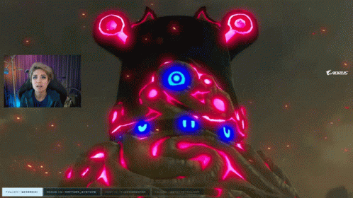 Botw The Legend Of Zelda Video Game GIF