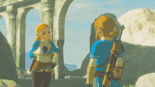 Botw Zelda Aviod Link GIF