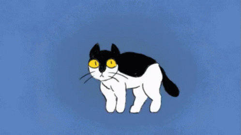 Black And White Cat Bouncing GIF