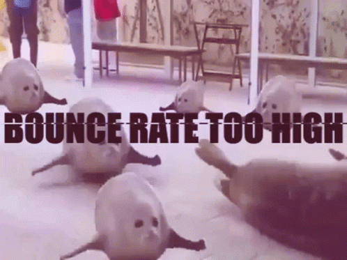 Bouncing Seals Rtae Too High GIF