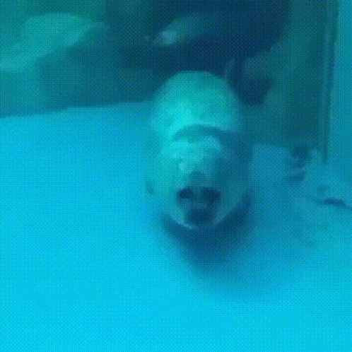 Bouncing Seals Under The Water GIF