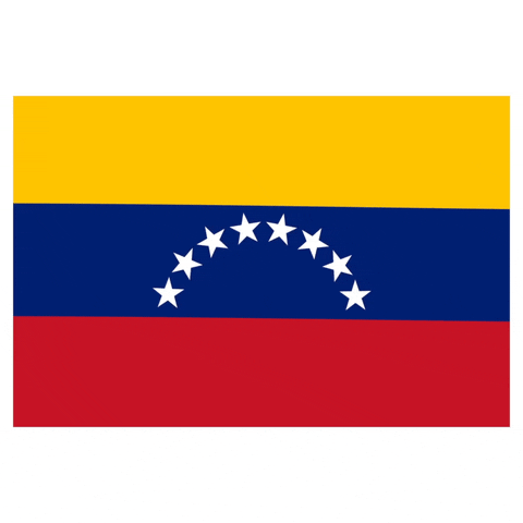 Bouncing Venezuela Flag GIF