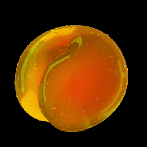 Bouncy Jelly Like Peach Moving GIF