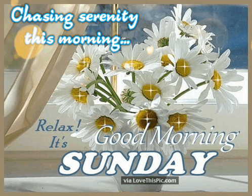Bouquet Of Daisies Chasing Serenity This Morning Relax Good Morning It's Sunday GIF